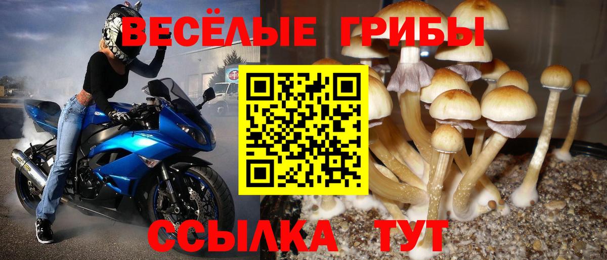 Псилоцибиновые грибы мицелий  Галлюциногенные грибы Psilocybine cubensis  Чебаркуль  Вход с VPN 
